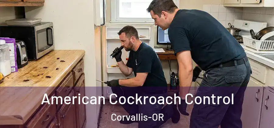 American Cockroach Control Corvallis-OR