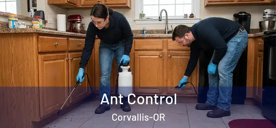 Ant Control Corvallis-OR
