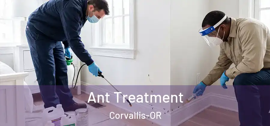  Ant Treatment Corvallis-OR