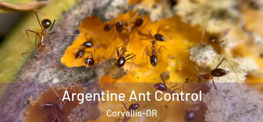 Argentine Ant Control Corvallis-OR