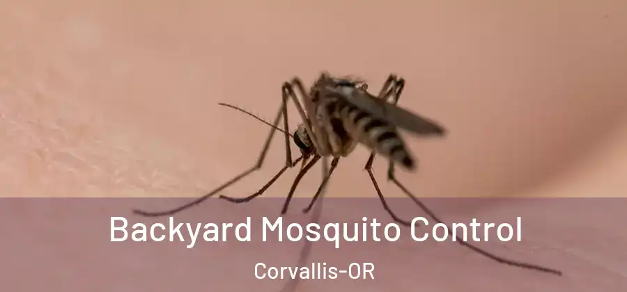  Backyard Mosquito Control Corvallis-OR