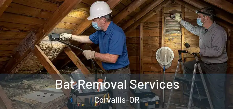  Bat Removal Services Corvallis-OR