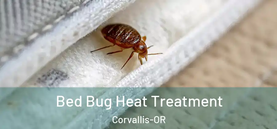  Bed Bug Heat Treatment Corvallis-OR