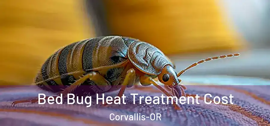 Bed Bug Heat Treatment Cost Corvallis-OR