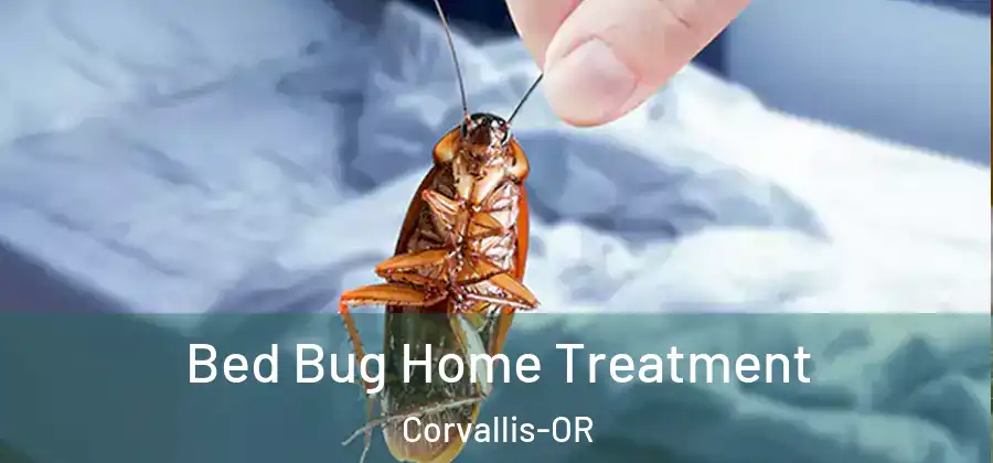  Bed Bug Home Treatment Corvallis-OR
