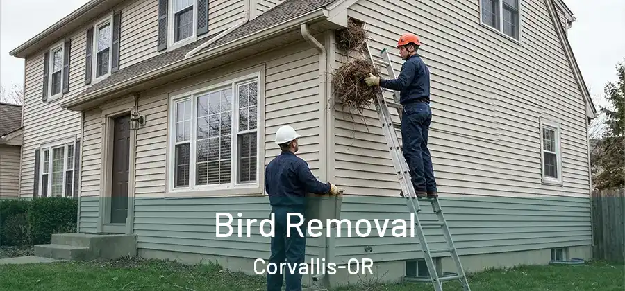  Bird Removal Corvallis-OR