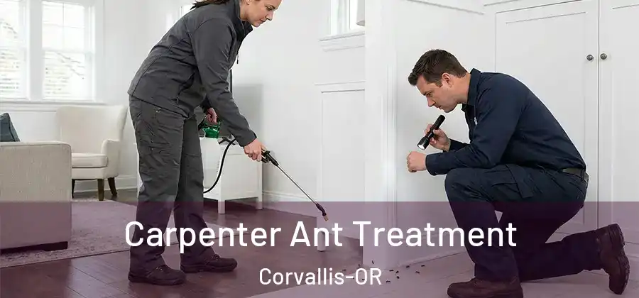 Carpenter Ant Treatment Corvallis-OR