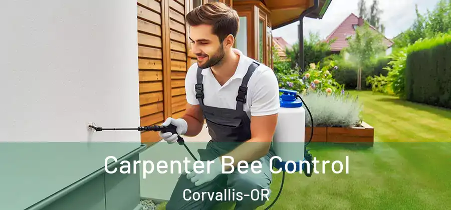  Carpenter Bee Control Corvallis-OR