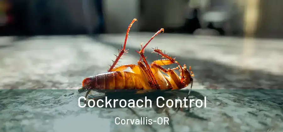Cockroach Control Corvallis-OR