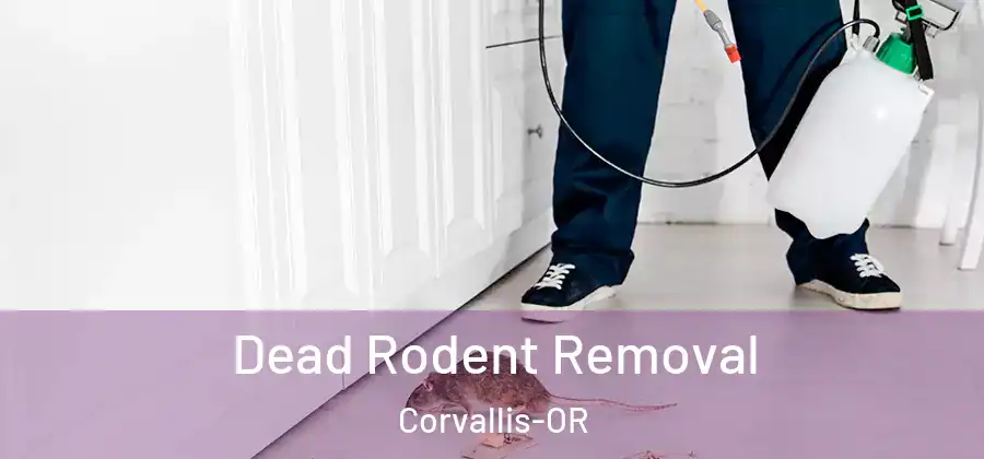Dead Rodent Removal Corvallis-OR