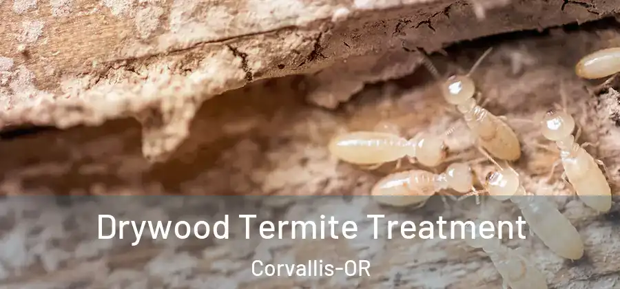  Drywood Termite Treatment Corvallis-OR