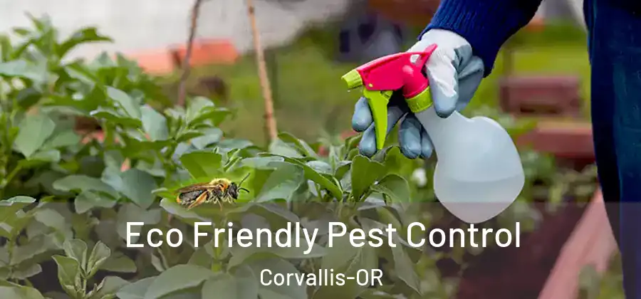 Eco Friendly Pest Control Corvallis-OR