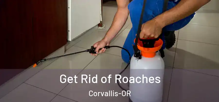 Get Rid of Roaches Corvallis-OR