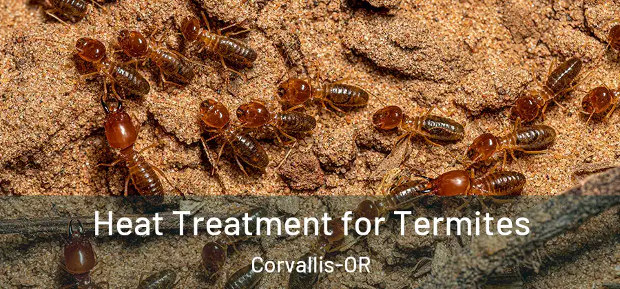  Heat Treatment for Termites Corvallis-OR