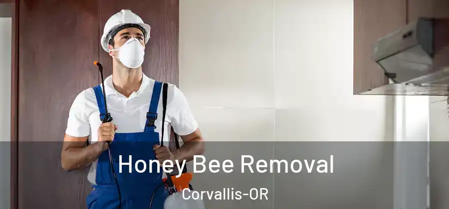 Honey Bee Removal Corvallis-OR