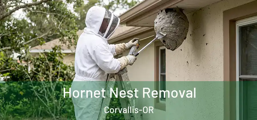  Hornet Nest Removal Corvallis-OR