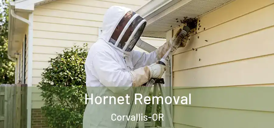 Hornet Removal Corvallis-OR