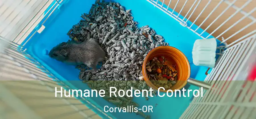 Humane Rodent Control Corvallis-OR