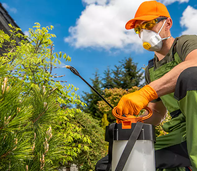 Your Best Bug Spray for Home Team in Corvallis, OR
