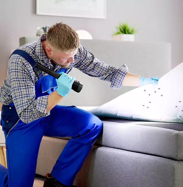 Why Choose Corvallis Pest Control Pro For Bed Bug Heat Treatment in Corvallis, OR?