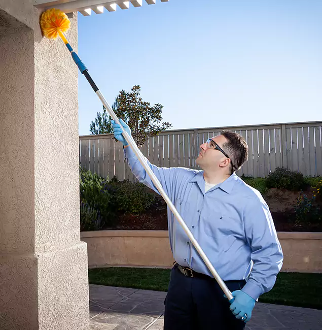 Why Choose Corvallis Pest Control Pro for Foundation Termite Treatment in Corvallis, OR?