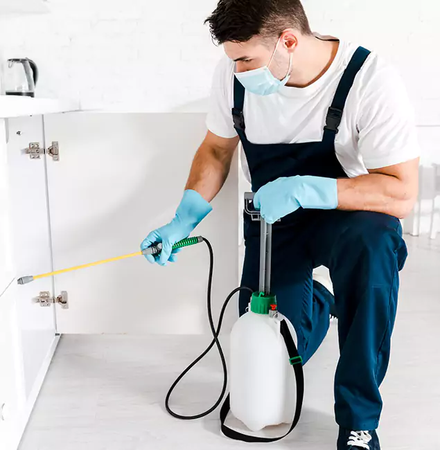 Why Corvallis, OR Homeowners Trust Us for German Roach Control?
