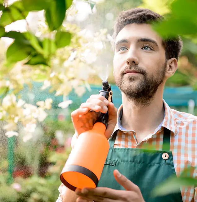 Why Corvallis Homeowners Call Corvallis Pest Control Pro for Mosquitoes in House?