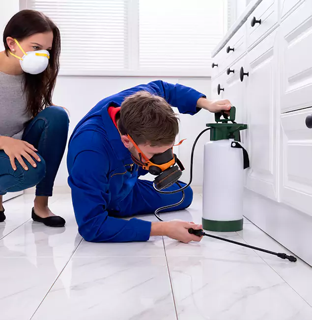 Why Choose Corvallis Pest Control Pro in Corvallis, OR?