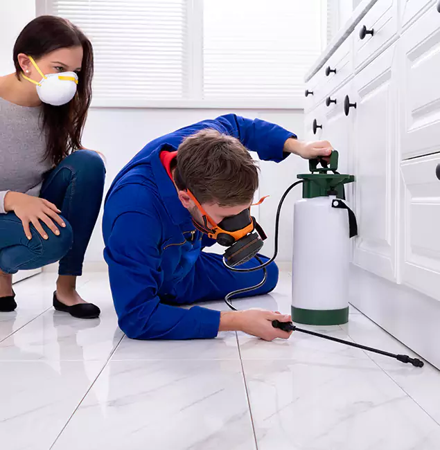 Why Choose Wood Termite Treatment by Corvallis Pest Control Pro in Corvallis, OR?