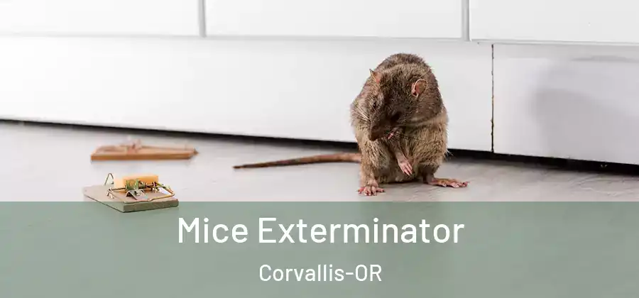  Mice Exterminator Corvallis-OR