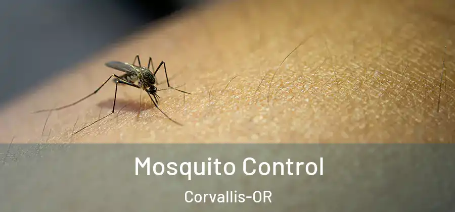 Mosquito Control Corvallis-OR