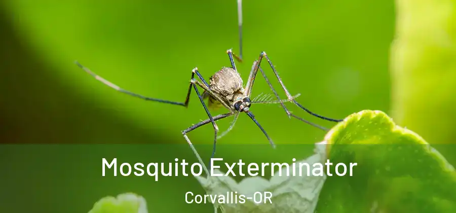  Mosquito Exterminator Corvallis-OR