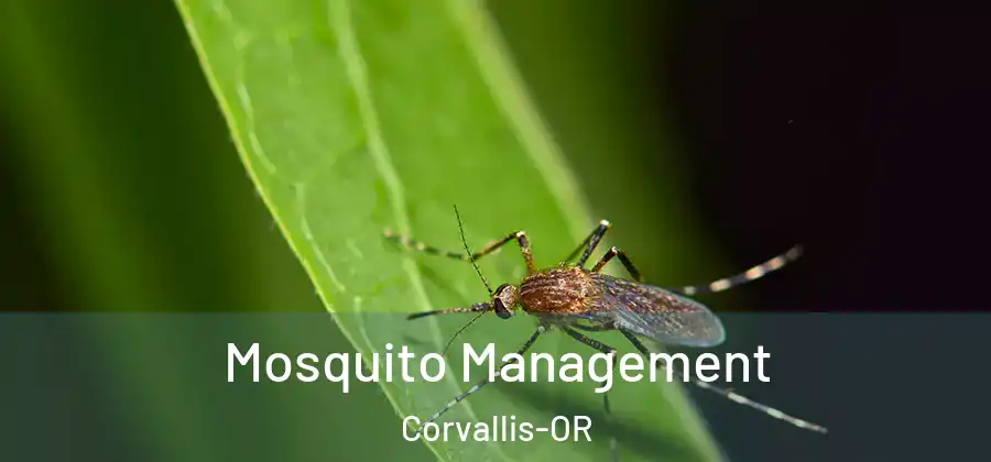  Mosquito Management Corvallis-OR