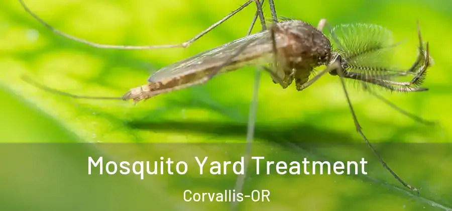 Mosquito Yard Treatment Corvallis-OR