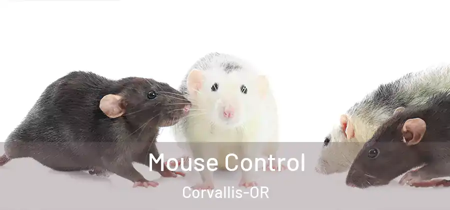  Mouse Control Corvallis-OR
