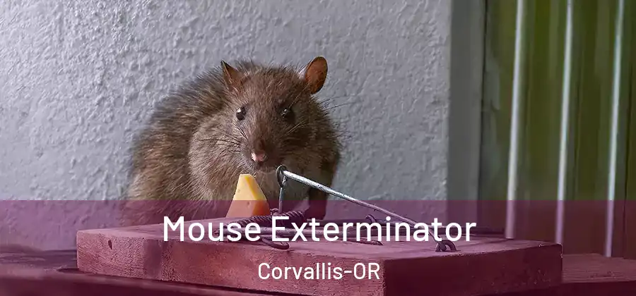  Mouse Exterminator Corvallis-OR
