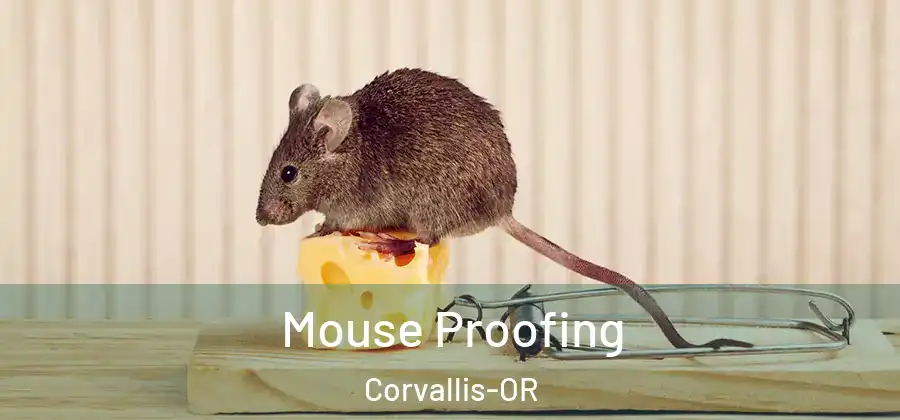 Mouse Proofing Corvallis-OR