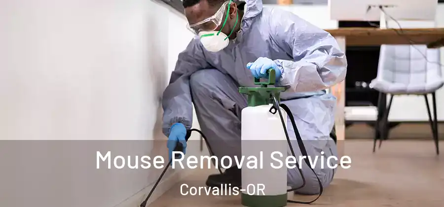  Mouse Removal Service Corvallis-OR