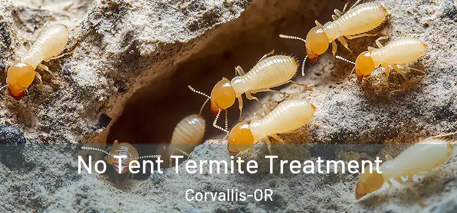  No Tent Termite Treatment Corvallis-OR