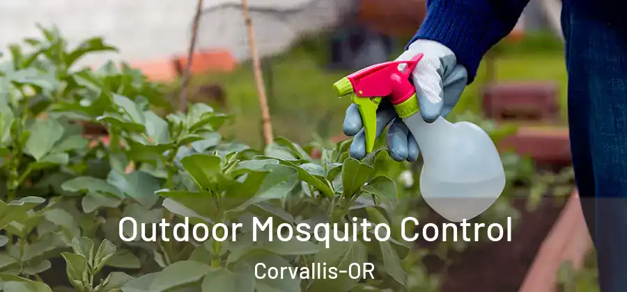 Outdoor Mosquito Control Corvallis-OR