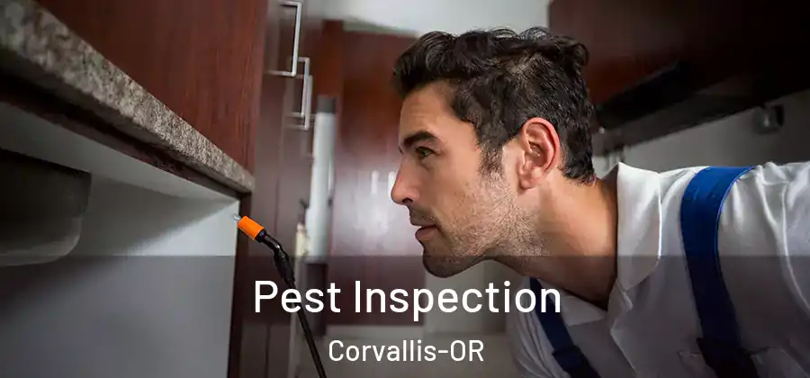  Pest Inspection Corvallis-OR