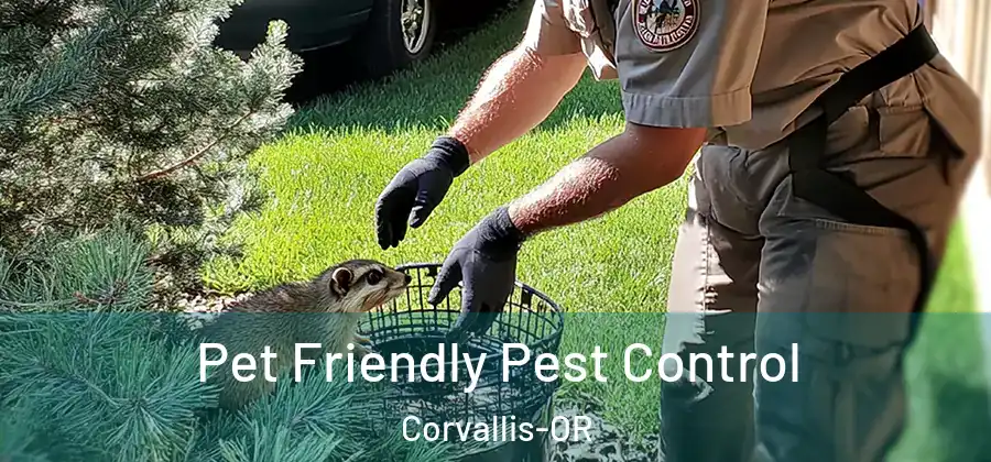  Pet Friendly Pest Control Corvallis-OR