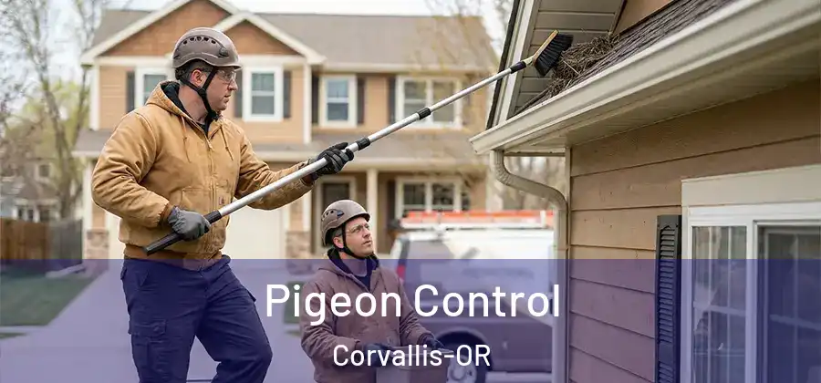  Pigeon Control Corvallis-OR