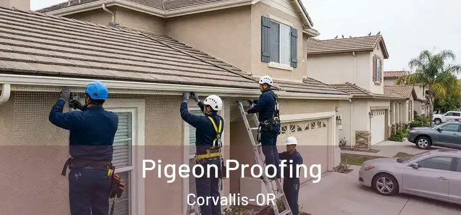  Pigeon Proofing Corvallis-OR