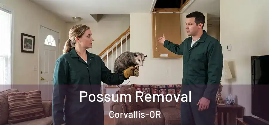  Possum Removal Corvallis-OR