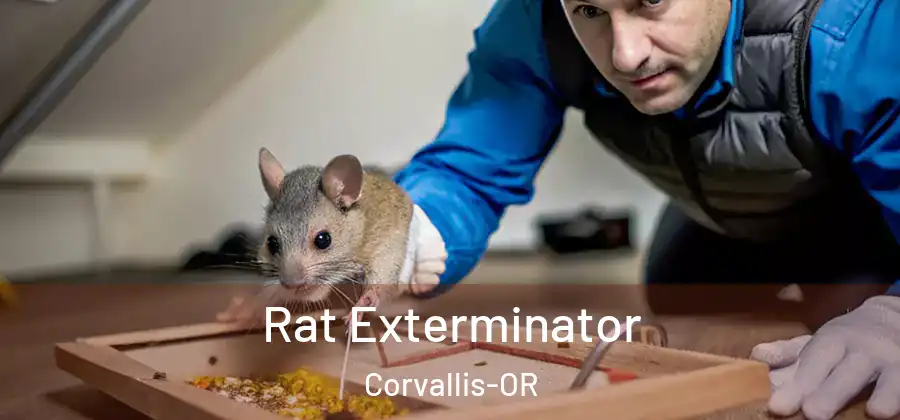  Rat Exterminator Corvallis-OR