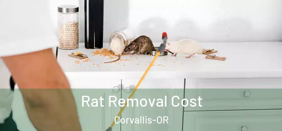  Rat Removal Cost Corvallis-OR