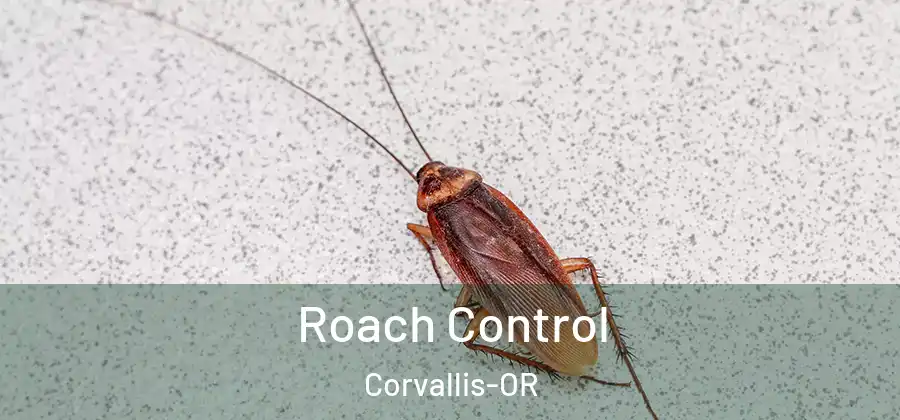  Roach Control Corvallis-OR