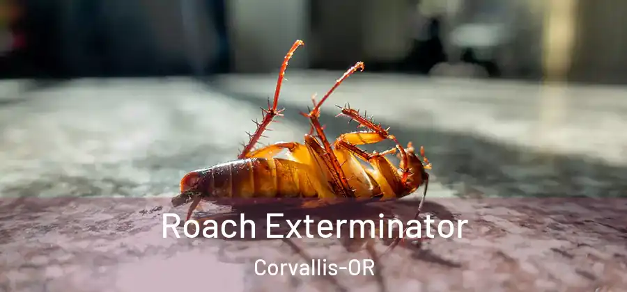 Roach Exterminator Corvallis-OR