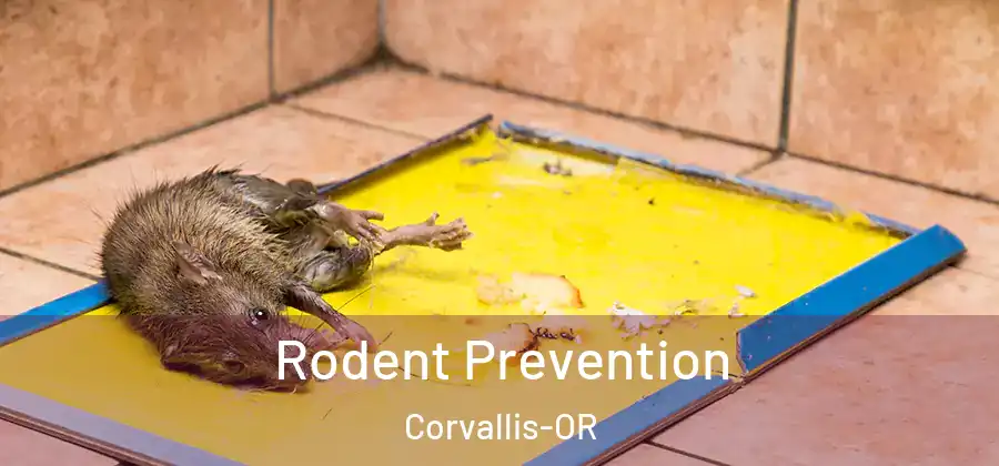  Rodent Prevention Corvallis-OR